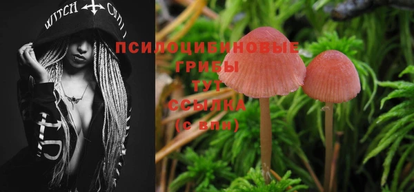 герыч Вяземский