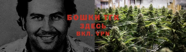 прущая мука Вязьма